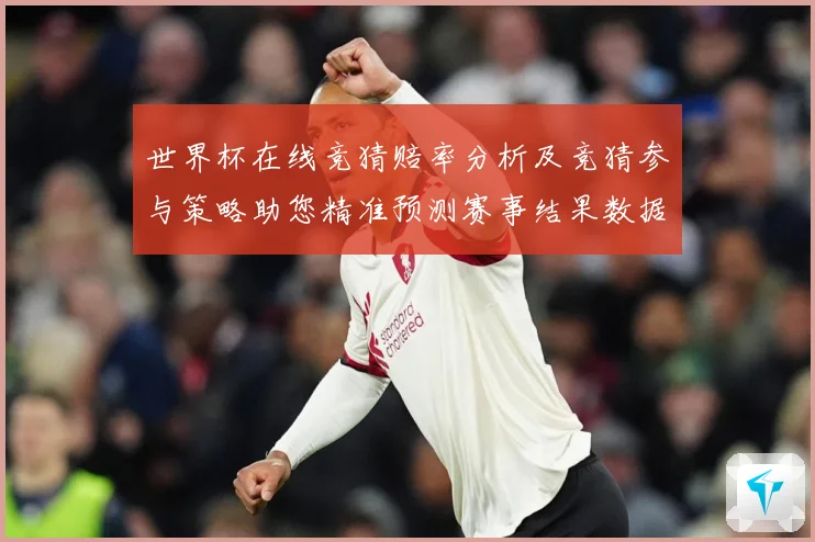 世界杯在线竞猜赔率分析及竞猜参与策略助您精准预测赛事结果数据研判-深度解析