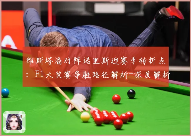 维斯塔潘对阵诺里斯迎赛季转折点：F1大奖赛争胜路径解析-深度解析