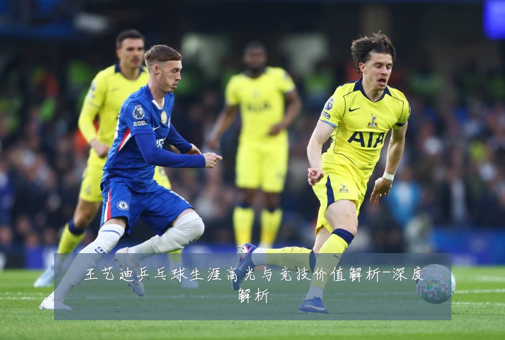 王艺迪乒乓球生涯高光与竞技价值解析-深度解析